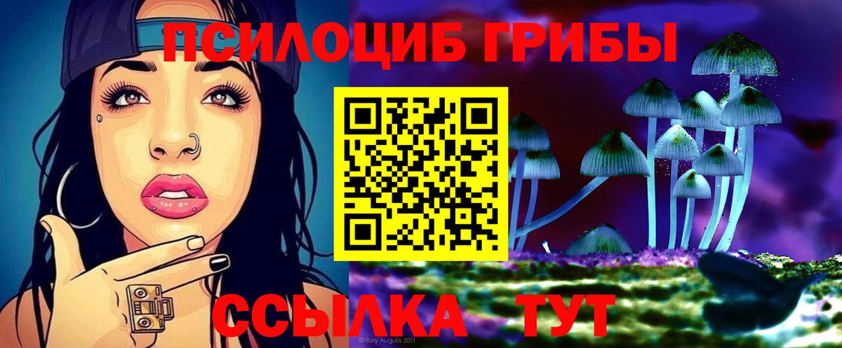 Галлюциногенные грибы Magic Shrooms  Псилоцибиновые грибы GOLDEN TEACHER  Вход с VPN  Строитель 