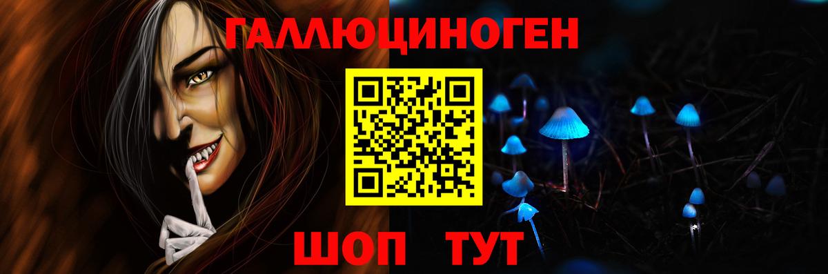 Галлюциногенные грибы Cubensis Строитель